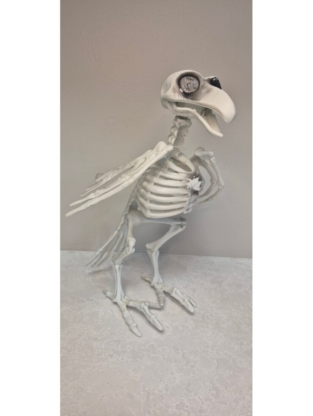 Pair of 11.5" Plastic Vulture / Bird Skeletons - Halloween Props